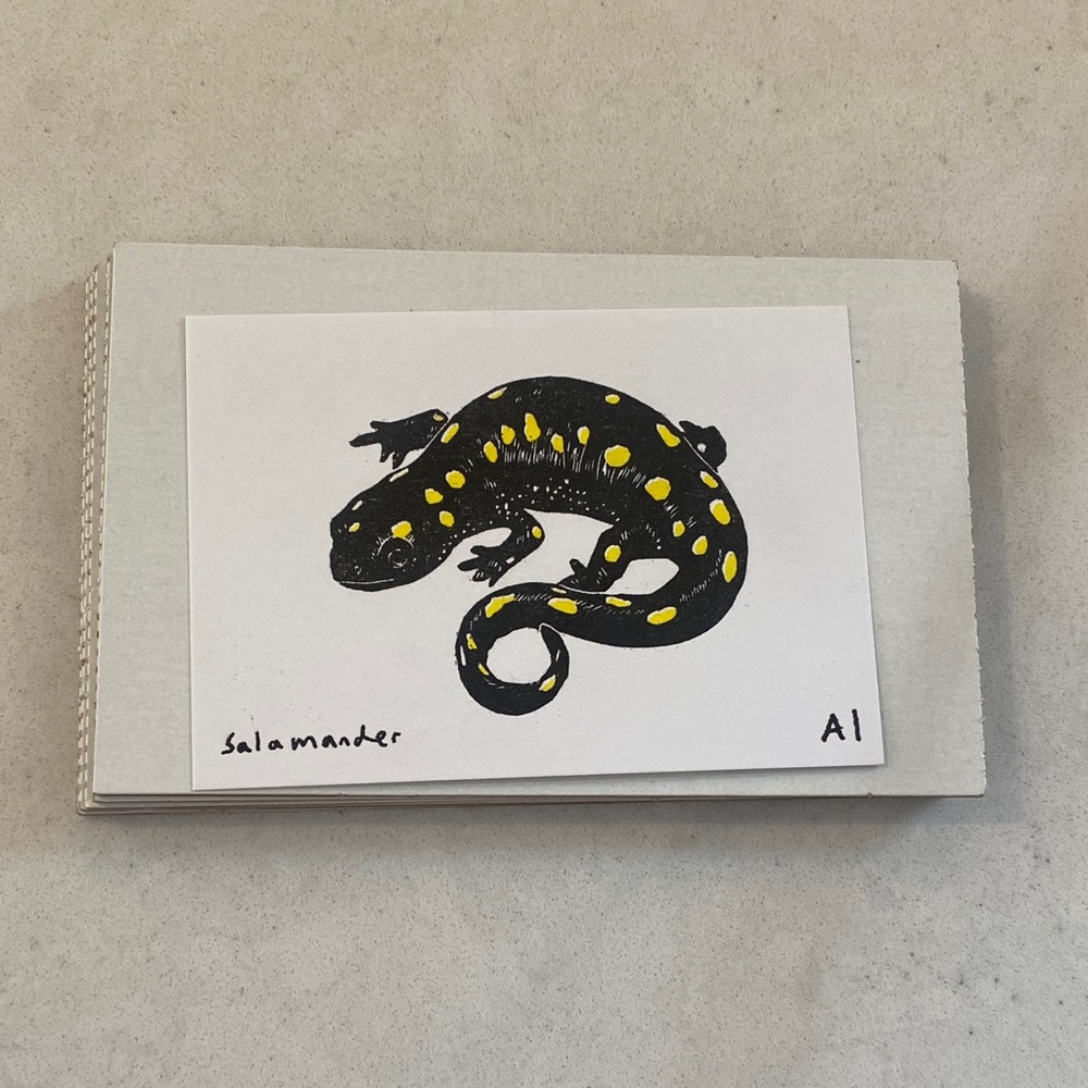 Anastasia INCIARDI - Mini Print - Salamander - Comes From New Orleans, Louisiana